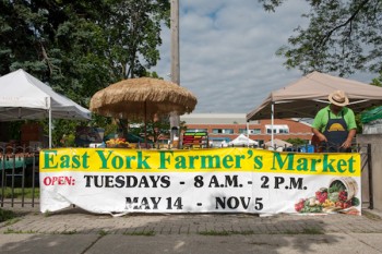 East York Farmer's Market