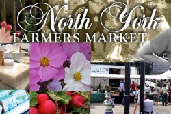 North York Farmer's Market