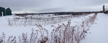 Winter farm fields